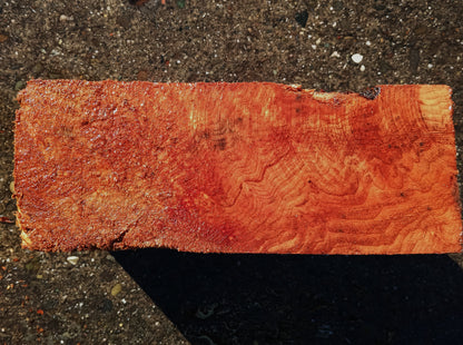 Redwood Lace Burl | Turning Blank | Craft Wood | R25-0008