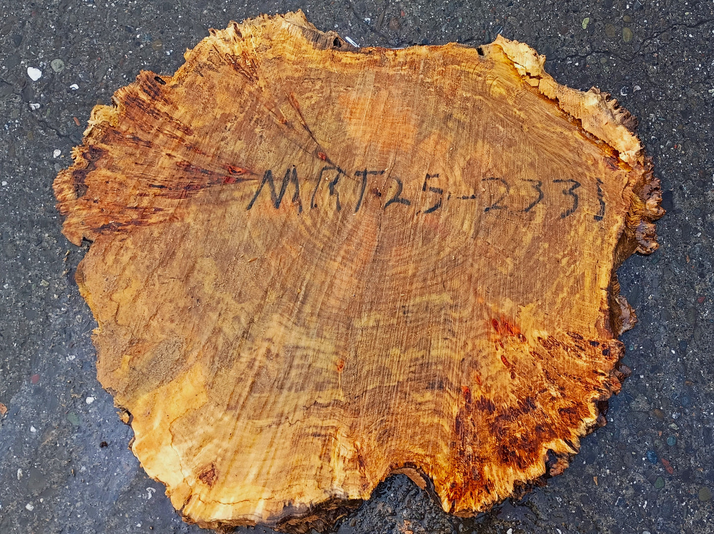 Myrtle Burl Slab | Live Edge | River Table | DIY |  Mrt25-2331