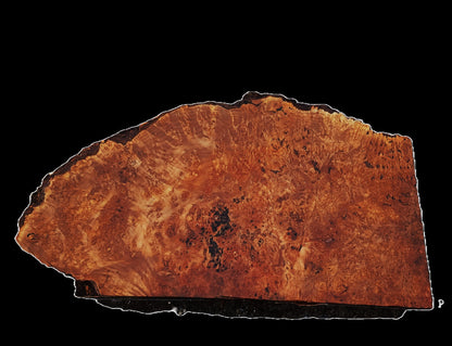 Maple Burl Block | Craft wood | DIY | Live Edge | 22-458BL