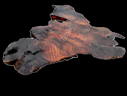 Curly Redwood Burl | DIY | River Table | Craft Wood | R23-1207