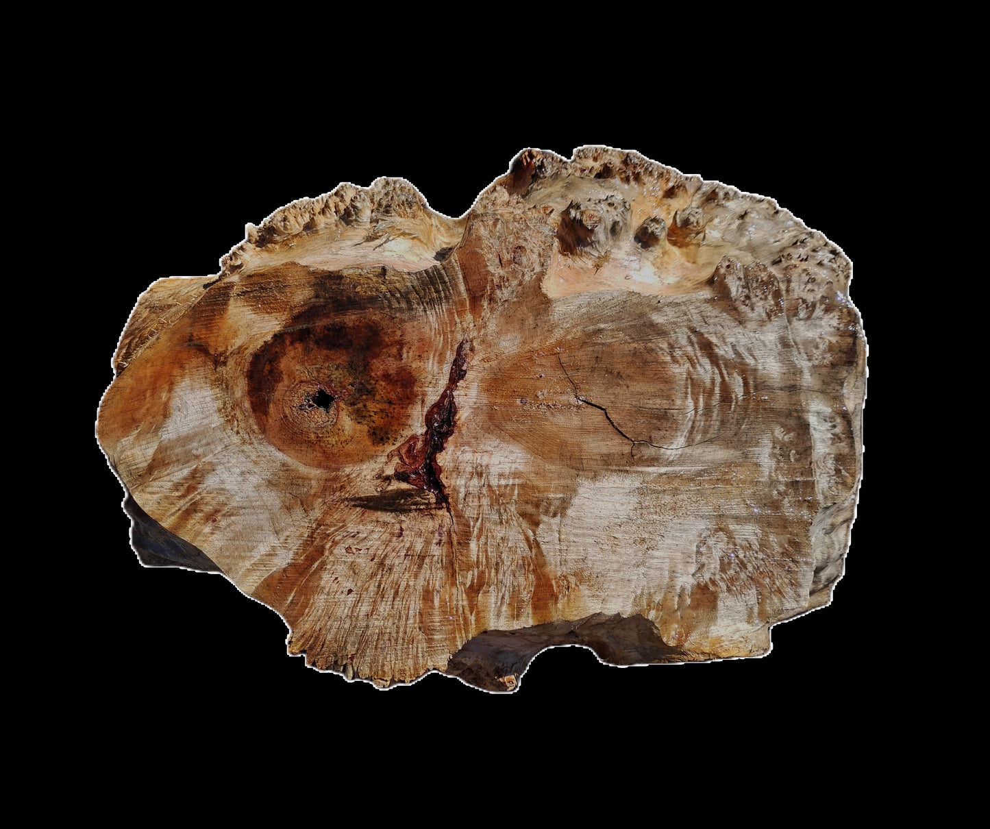 Maple Cap | Maple Burl | DIY | Craft Wood | MaCap25-3279