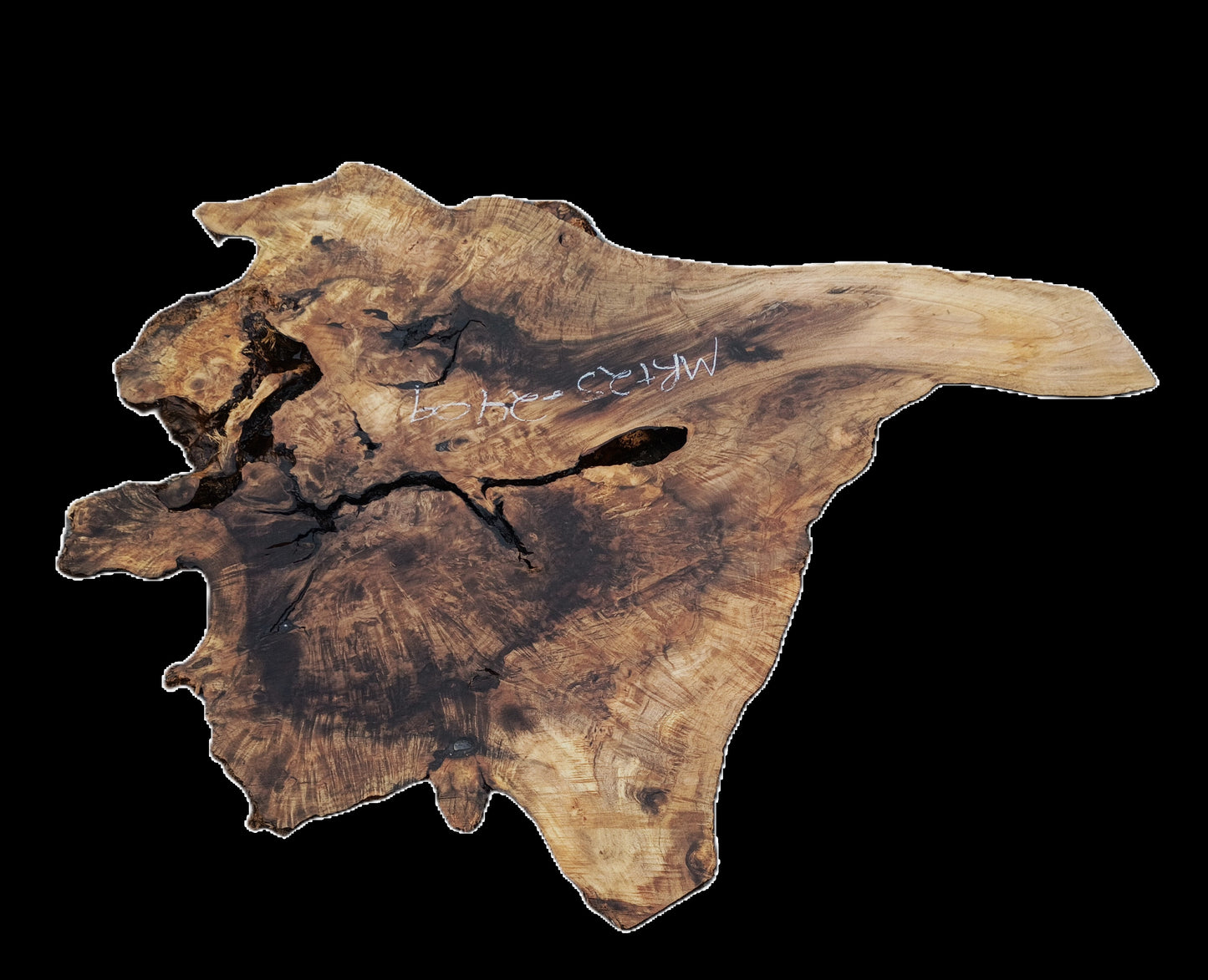 Myrtle Wood Burl | Pepper Wood | DIY |  Bay Laurel Burl | Mrt25-2409