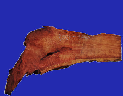 Redwood Burl Slab | Curly | River Table | DIY | R26-3130