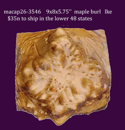 Maple Burl | Bowl Turning | Craft Wood | DIY | Macap26-3546