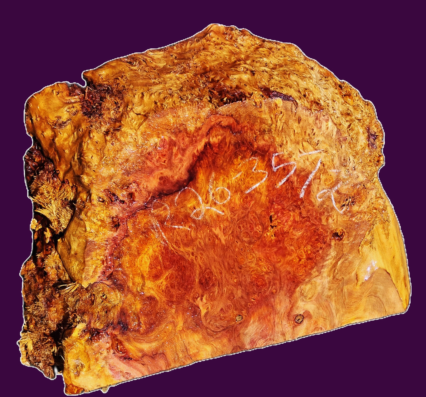 Redwood Lace Burl | DIY| Craft-wood | live edge table | r26-2572