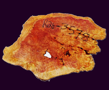 Redwood Lace | burl slab | DIY | Craft Wood | live edge | r26-3578