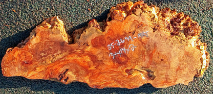 Myrtle Burl Slab | DIY | Table | Craft Wood | MRT25-2699