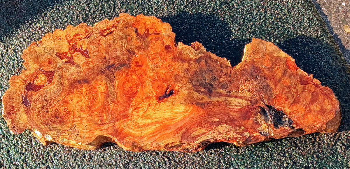 Myrtle Burl Slab | DIY | Table | Craft Wood | MRT25-2699