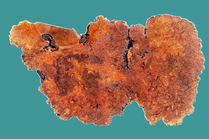 Maple Burl | Live Edge | River Table | DIY | Craft Wood | Ma26-3955
