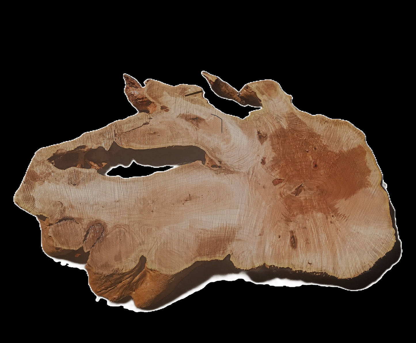 Maple Burl | Live Edge | River Table | DIY | Ma25-3211