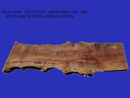 Maple Burl Log Cut | River Table | Wall Art | Epoxy Idea | ma24-1540