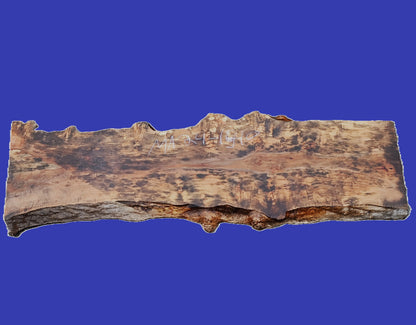 Maple Burl Log Cut | River Table | Wall Art | Epoxy Idea | ma24-1540
