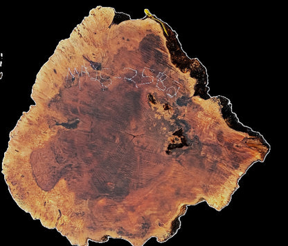 Maple Burl Slab | Cookie Cut | live edge slab | DIY | Ma25-2582
