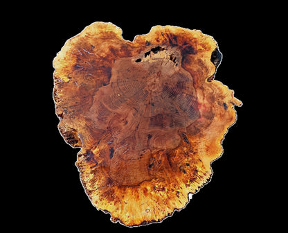 Maple Burl Slab | Cookie Cut | burl Table | DIY | Ma25-2583