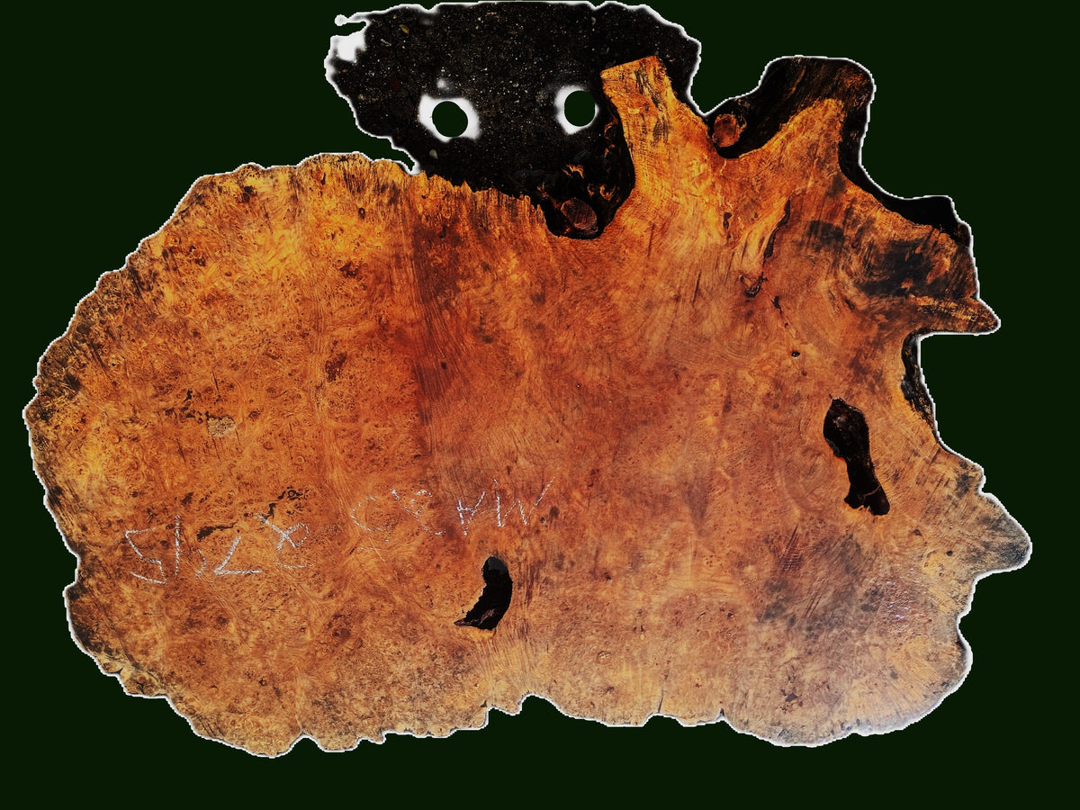 Maple Burl Slab | Live Edge | Maple Lace Burl | Cookie Cut | Solid Burl | DIY | Ma25-2745-a