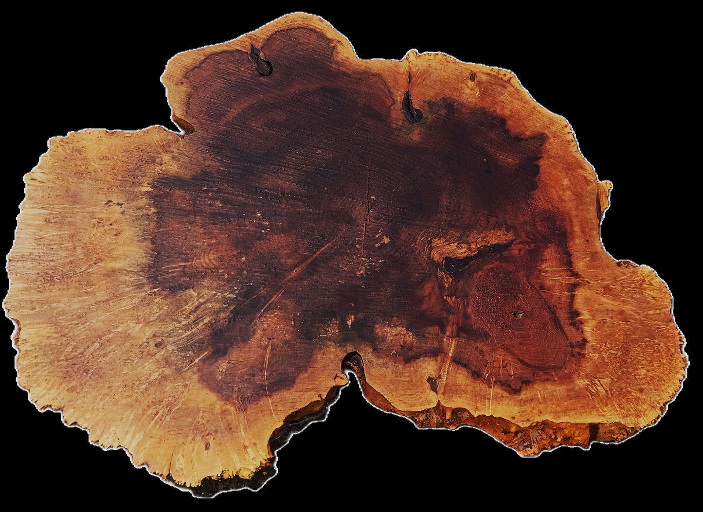 Maple Burl | Live Edge | River Table | DIY | Craft Wood | Ma25-3161