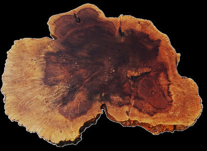 Maple Burl | Live Edge | River Table | DIY | Craft Wood | Ma25-3161
