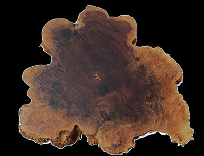 Maple Burl | Live Edge | River Table | DIY | Ma25-3165