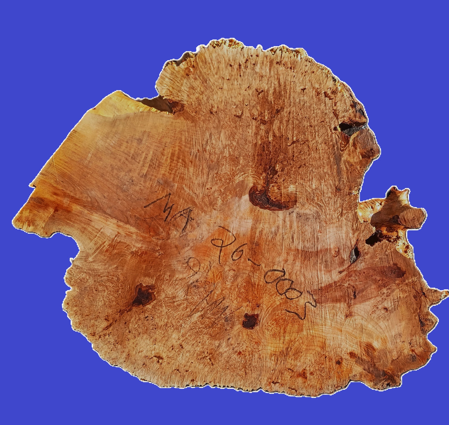 Maple Burl | Live Edge | River Table | DIY | Craft Wood | Ma26-0003