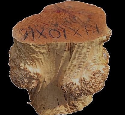 Maple Burl Base | Trophy Mount | Table Base | DIY | MAB25-0001