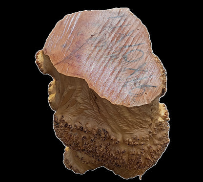 Maple Burl Base | Trophy Mount | Table Base | DIY | MAB25-0001