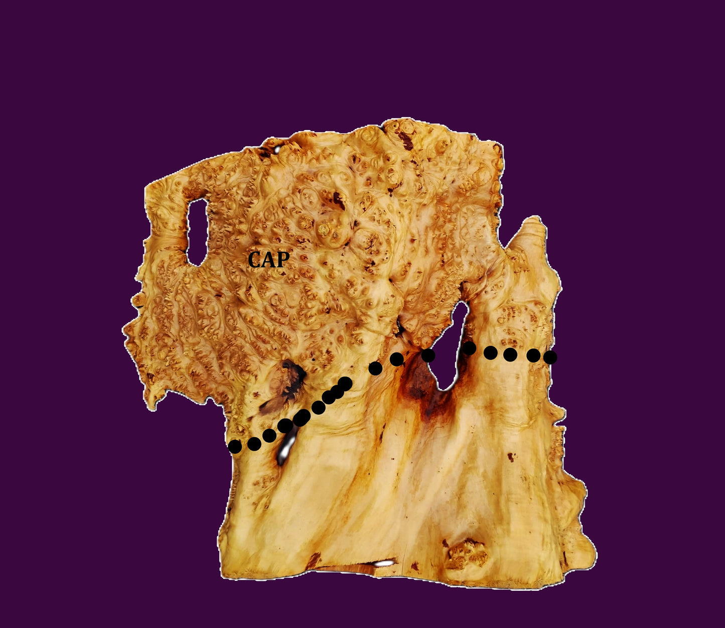 Mappa Burl Cap | Bowl Turning | Craft Wood | DIY | MA CAP 26-3480