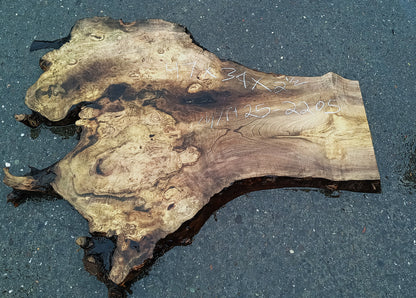 Myrtle Wood Burl Slab | Bay Laurel | Live Edge | River Table | DIY |  Mrt25-2205