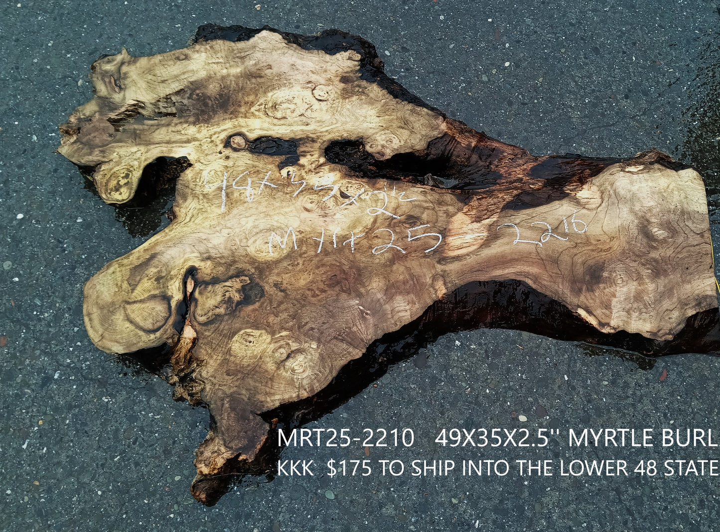 Myrtle Wood Burl Slab | Bay Laurel | Live Edge | River Table | DIY |  Mrt25-2210