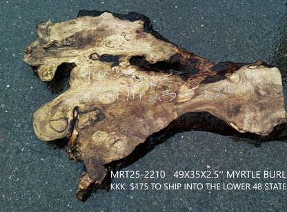 Myrtle Wood Burl Slab | Bay Laurel | Live Edge | River Table | DIY |  Mrt25-2210