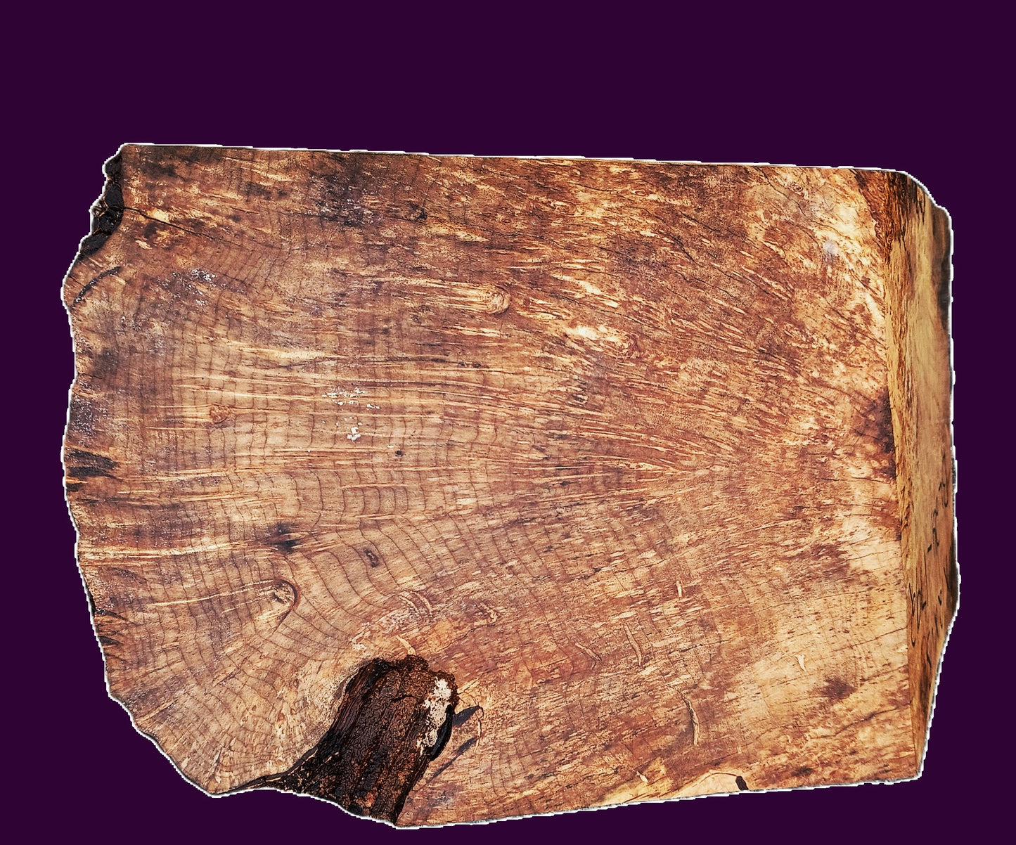 Myrtle Burl Block | Bowl Turning | DIY  | Craft-wood | MRT BL24-1792
