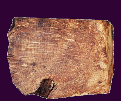Myrtle Burl Block | Bowl Turning | DIY  | Craft-wood | MRT BL24-1792