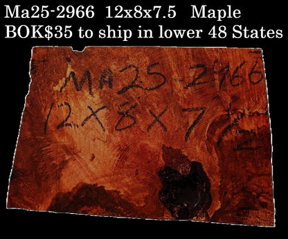 Maple BURL | Turning block | Craft Wood | DIY | Bowl turning | MA25-2966
