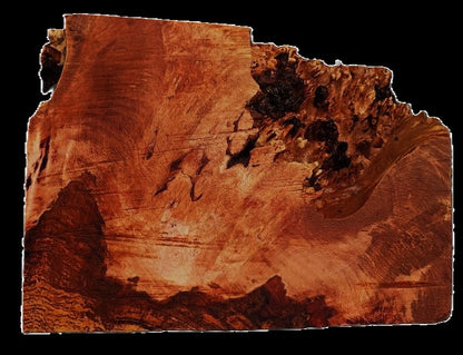 Maple BURL | Turning block | Craft Wood | DIY | Bowl turning | MA25-2966