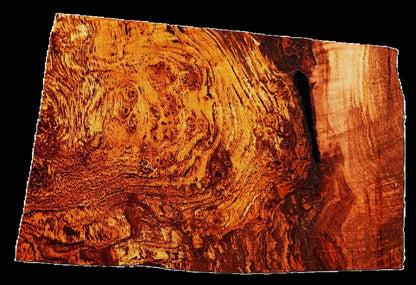Maple BURL | Turning block | Craft Wood | DIY | Bowl turning | MA25-2966