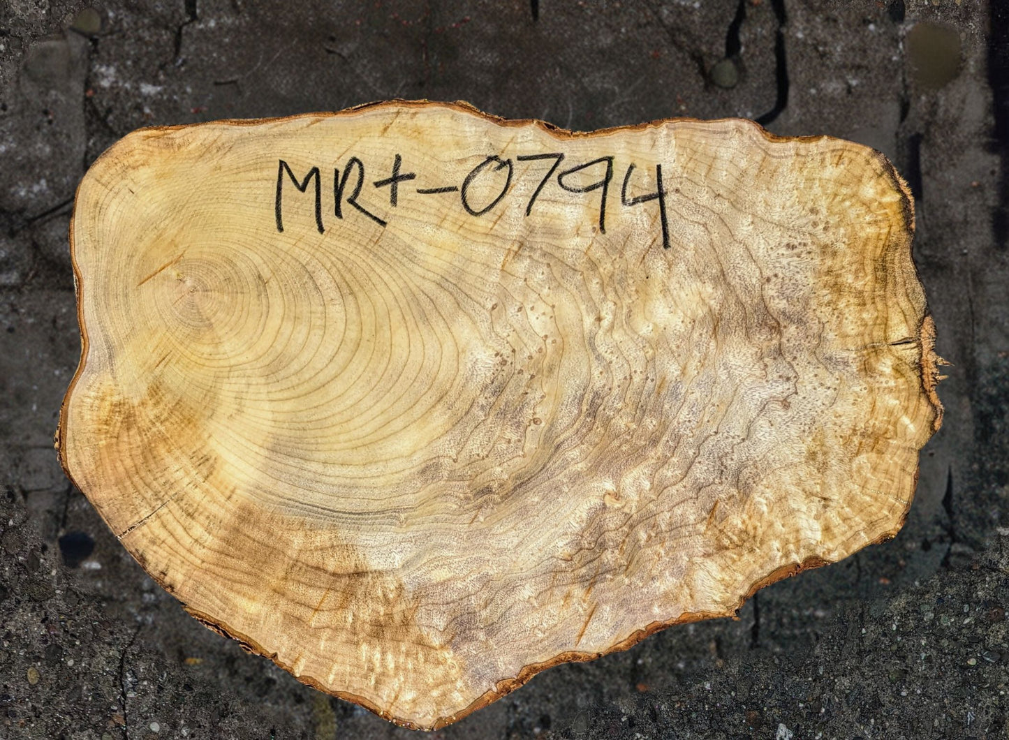 Myrtle Burl slab | live edge | cookie cut | DIY | End Table  | Mrt24-0794