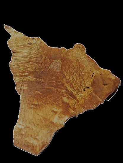Myrtle Burl Slab | Live Edge | river table | DIY | Mrt25-2794