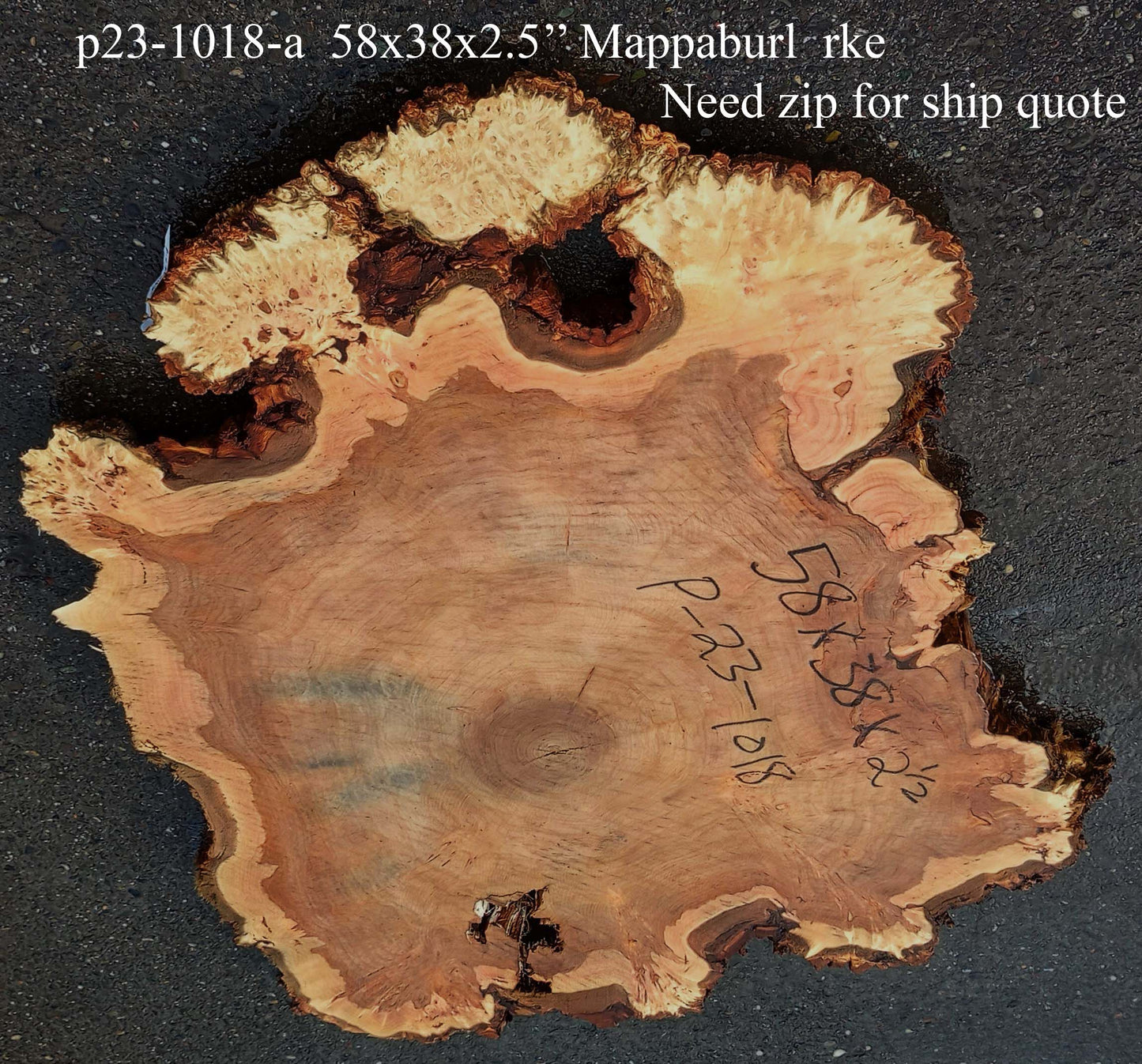 Mappa Burl Slab | Table | DIY | Cookie Cut | P24-1018