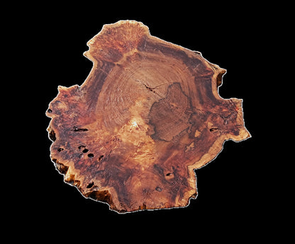 Mappa Burl Slab | DIY | cottonwood | River Table | Cookie Cut | P25-2584
