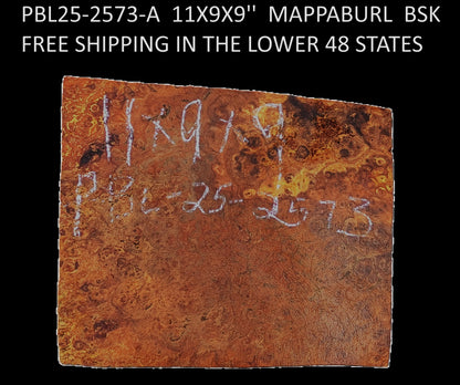 Mappa Burl Block | DIY | Craftwood | bowl turning | PBL25-2573