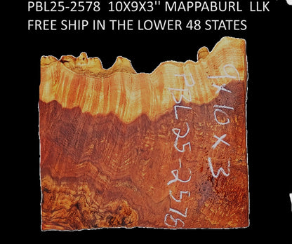 Poplar Burl Block | DIY | Craftwood | bowl turning | PBL25-2578