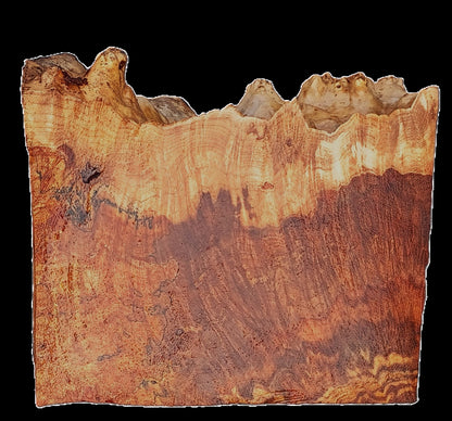 Poplar Burl Block | DIY | Craftwood | bowl turning | PBL25-2578