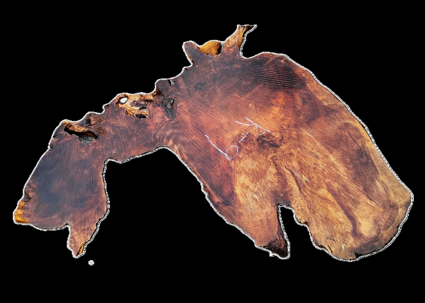 Redwood Burl| DIY | Craft Wood | River Table | R-9