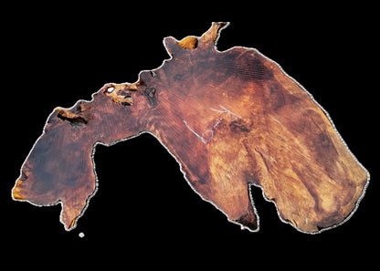 Redwood Burl| DIY | Craft Wood | River Table | R-9