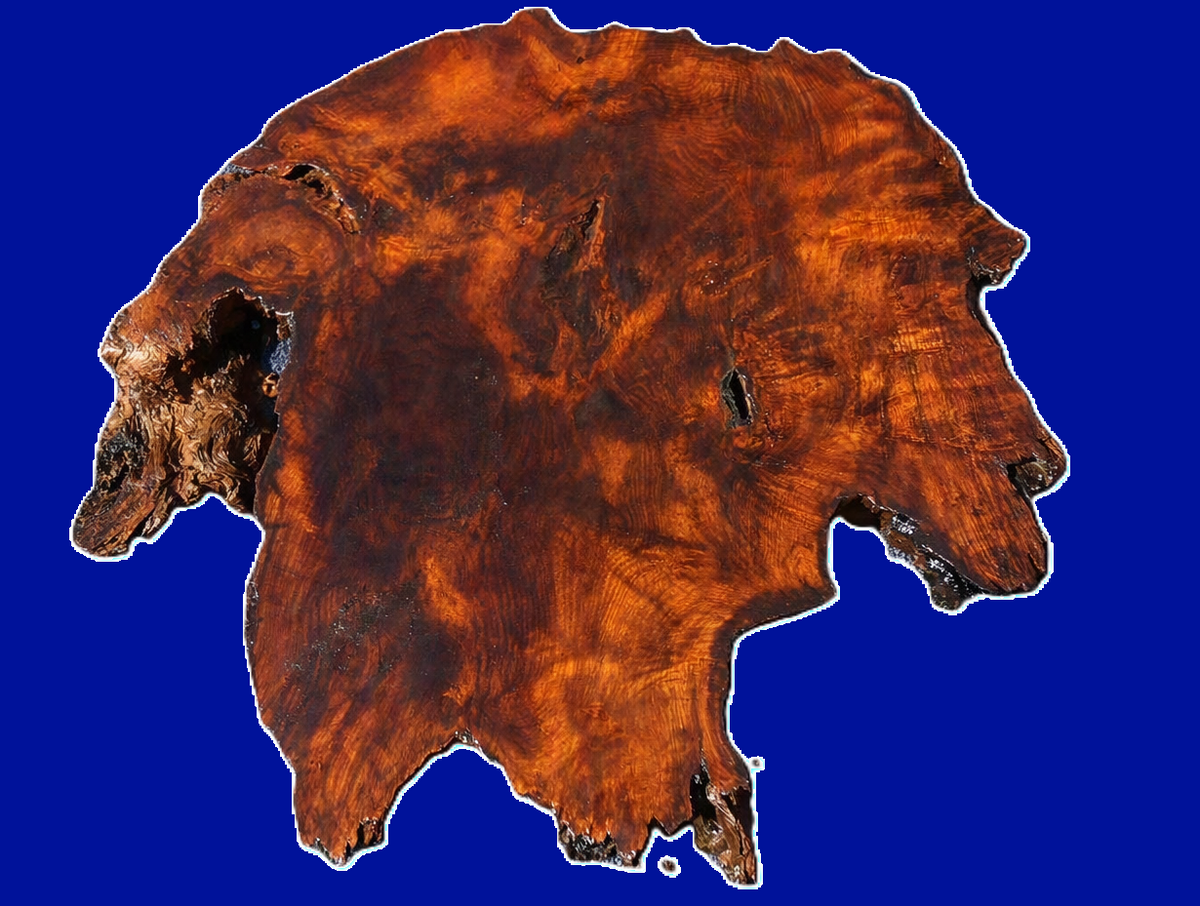 old growth | Redwood Burl Slab | DIY | river table | burl table | R21-0293