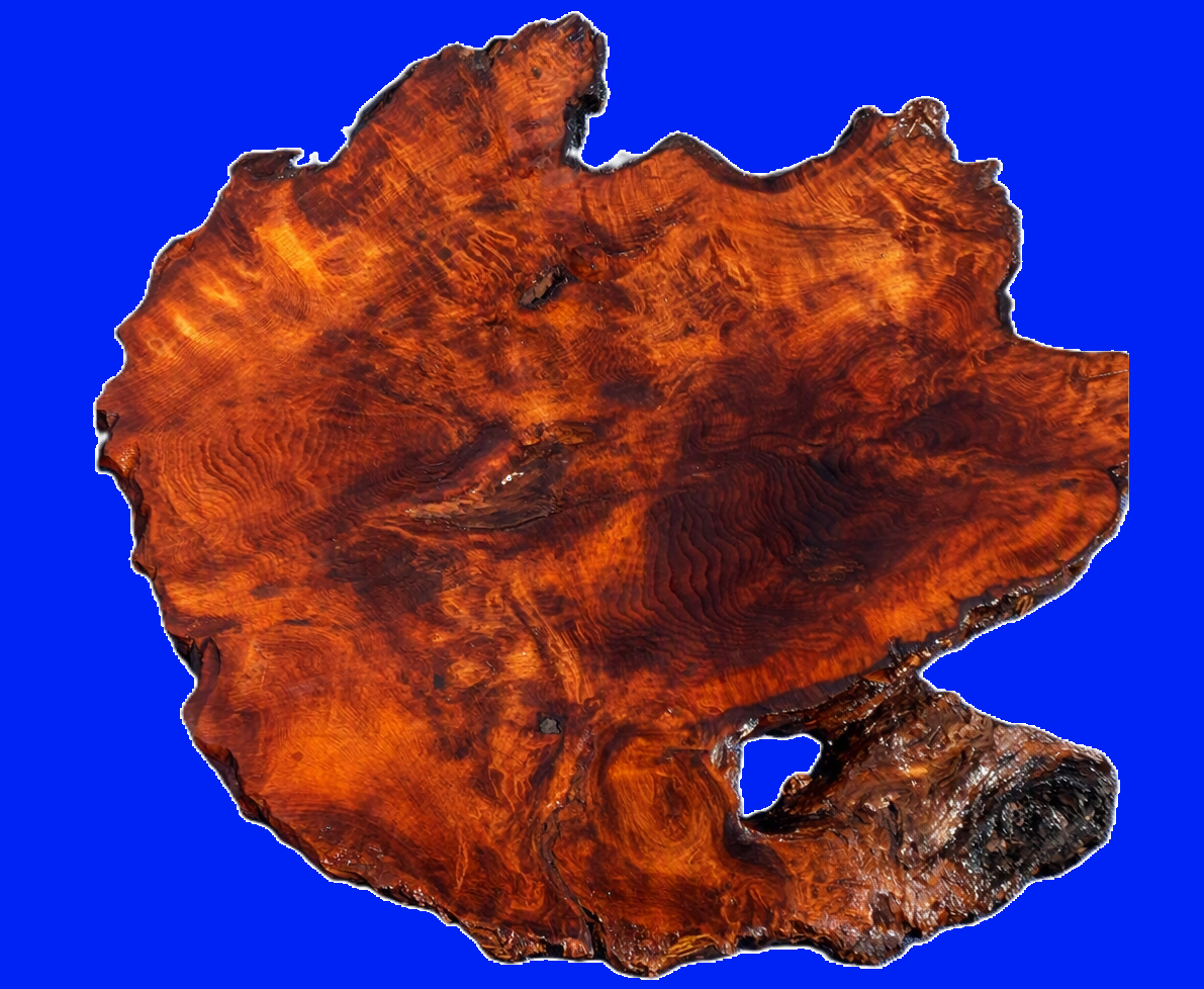 old growth | Redwood Burl Slab | DIY | river table | burl table | R21-0293