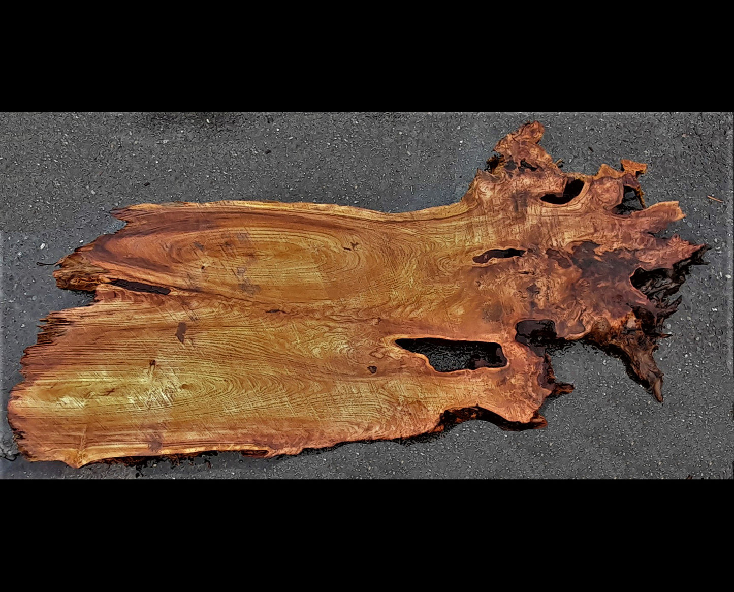 Redwood burl | epoxy river table | DIY crafts | burl table |  r23-0213