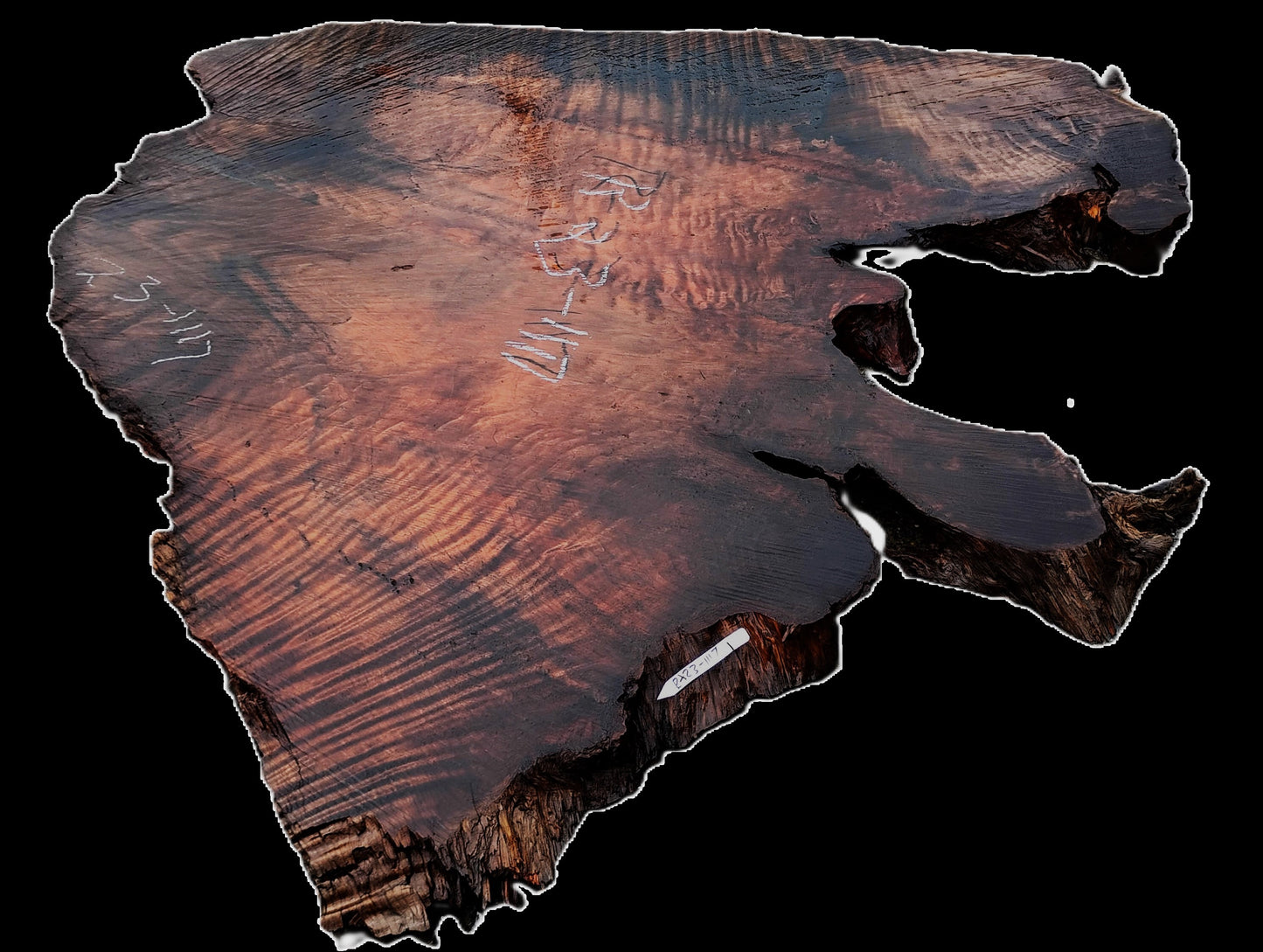 Redwood Burl | DIY | River Table | Craft Wood | R23-1117