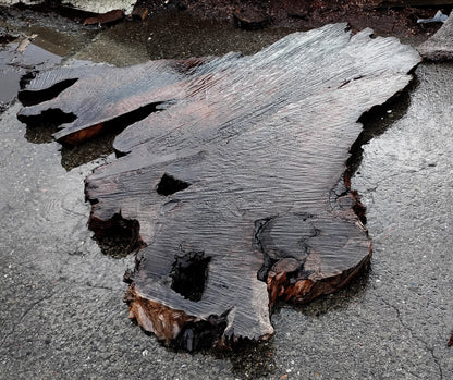 Curly Redwood Burl | DIY | River Table | Craft Wood | R23-1190