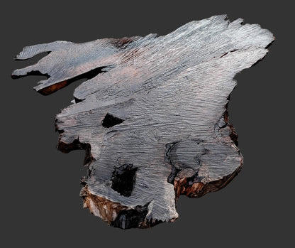Curly Redwood Burl | DIY | Table | River Table | R23-1190