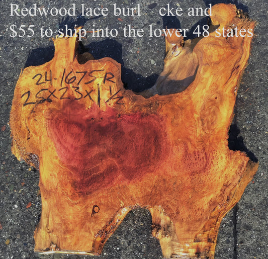 Redwood slab | Redwood Burl | Redwood Lace Burl | DIY | R24-1675